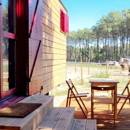 Roulottes Cocooning Au Coeur Des Landes Hotel Mées Exterior foto