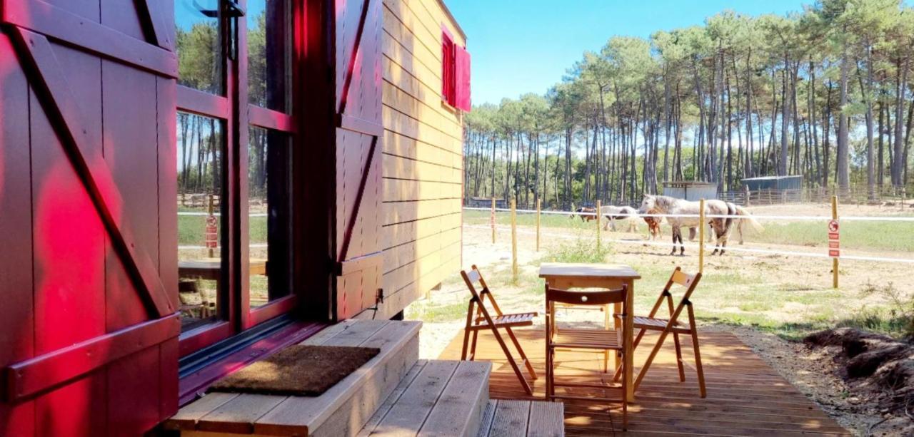 Roulottes Cocooning Au Coeur Des Landes Hotel Mées Exterior foto