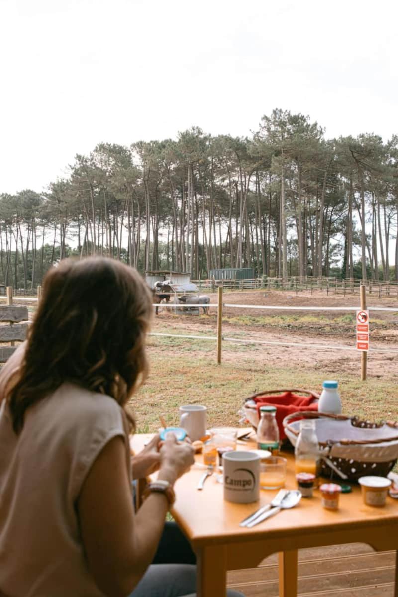 Roulottes Cocooning Au Coeur Des Landes Hotel Mées Exterior foto